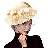 DRESHOW Fascinators Hat Flower Mesh Feathers Hat with a Headband and a Clip 7.9" Tea Party Headwear for Women