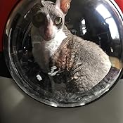 pokeball pet carrier