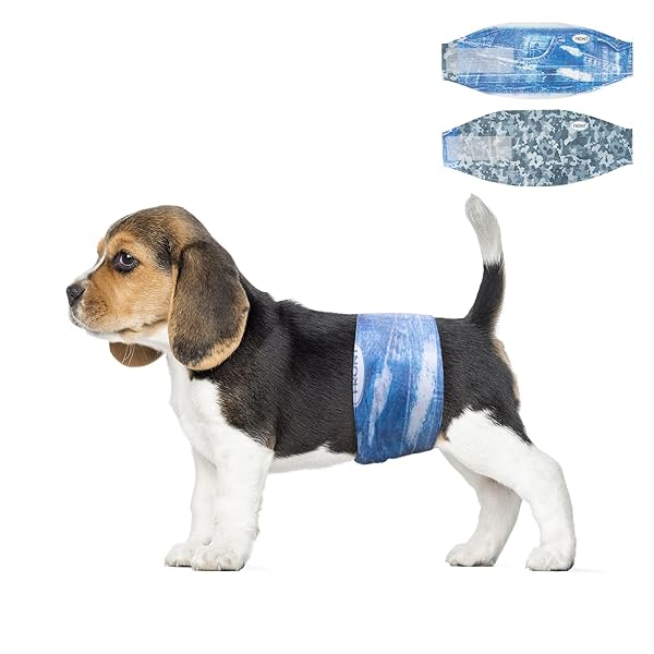 DONO DOG DIAPERS MALE DISPOSABLE MALE DOG WRAPS, 48 COUNT WIDER DOGGIE PUPPY DIAPERS MALE BELLY BANDS, SUPER ABSORBENT, LEAK-PROOF FIT, EXCITABLE URINATION, INCONTINENCE, XS