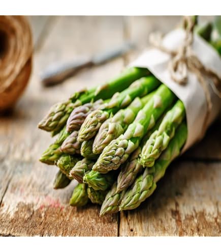 Amazon.com : Jersey Giant Live Asparagus Bare Root Plants