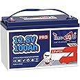 Timeusb 12V 100Ah Pro LiFePO4 Battery, 12 volt Lithium Battery with 100A BMS, Grade A Battery Cells, Up to 10 Years Lifespan, Perfect for RV, Trolling Motor, Off-grid Applications, Group 31