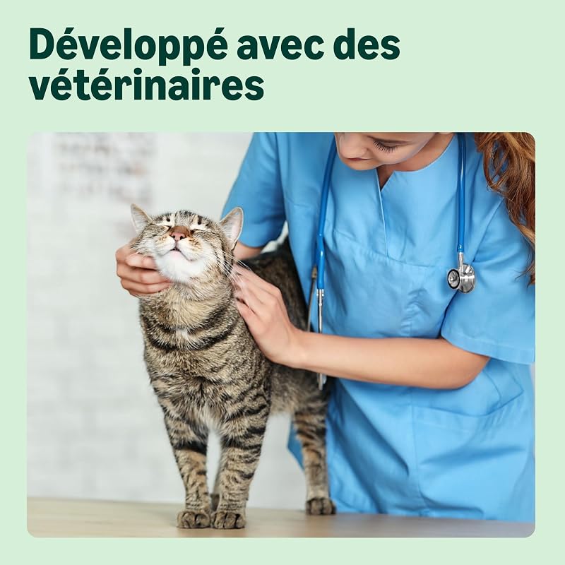 Grainfree Recipe Nourriture sèche pour Chat (stérilisée/légère) avec Poulet Frais 3 kg