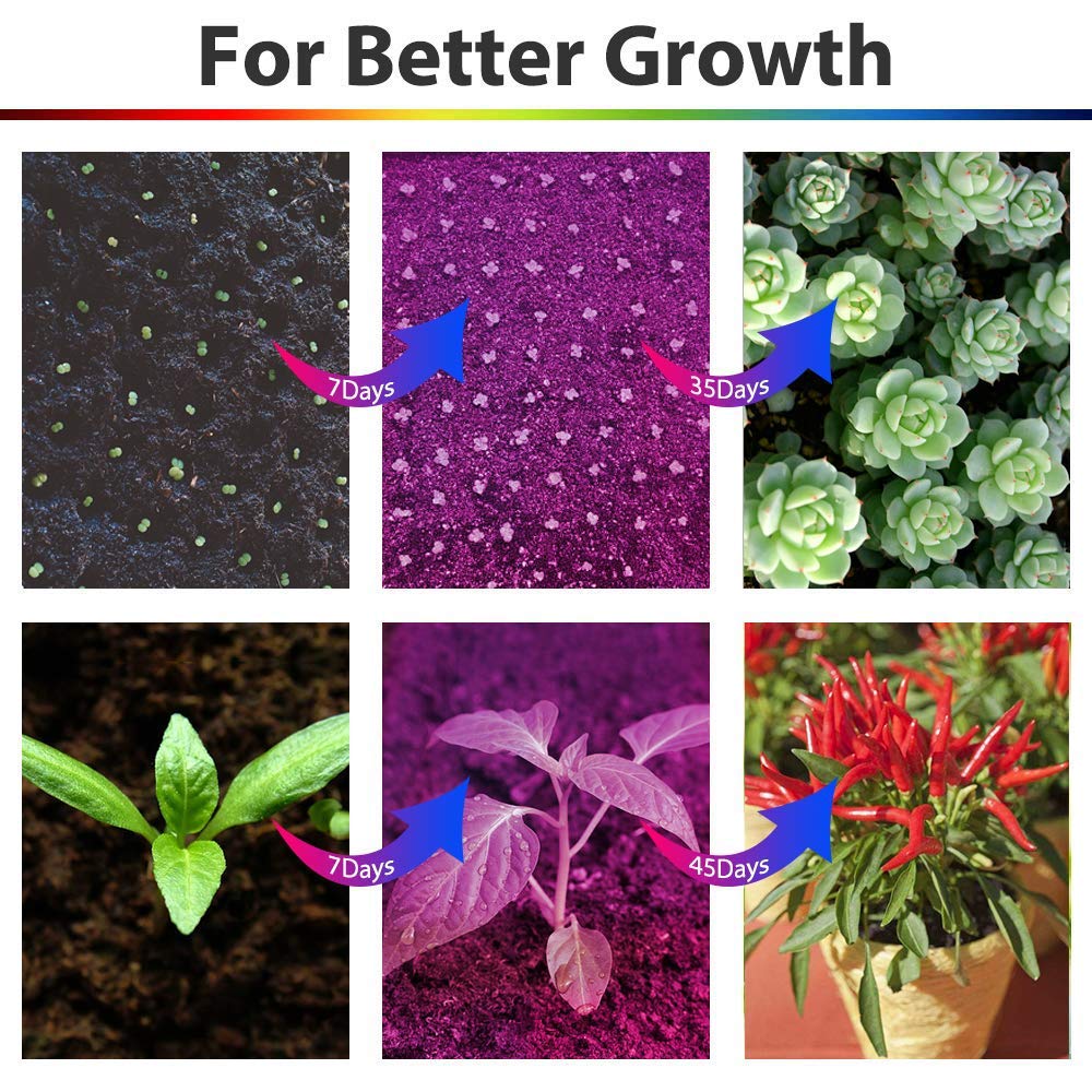 Grow Light, Grow Lights for Indoor Plants - BaoChen 30W Plant Light with Auto Turn On Function, 60 LED, 3/6/12H Timer, 5 Dimmable Modes, 3 Spectral Modes, 3 Divide Control Grow Lamp [Upgraded Switch]