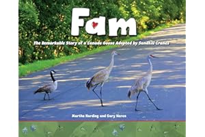 Fam: The Remarkable Story of a Canada Goose Adopted by Sandhill Cranes