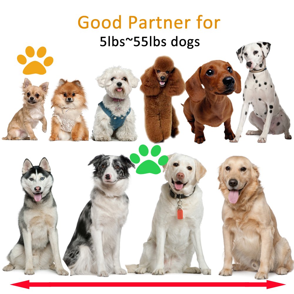 Petgin Dog Toys for Boredom Puzzle Toys IQ Treat Ball Food Slow Feeder for Small Medium Large Dogs