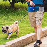 nuoshen Pet Treat Bag Adjustable Waistband Dog Training Pouch Light Gray view 5