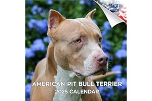 MEGACALENDARS 2024 2025 American Pit Bull Terrier Calendar - Dog Breed Monthly Wall Calendar - 12 x 24 Open - Thick No-Bleed Paper - Giftable - Academic Teacher's Planner Calendar Organizing & Planning