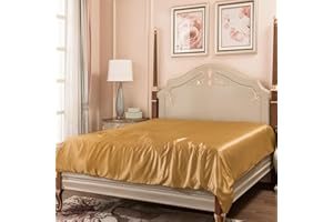 PROMEED Pure Silk Soft Duvet Cover Only, Both Sides 23 Momme Mulberry Silk, Soft Quilt Cover 1pc with Hidden Zipper Closure (Gold, Queen)