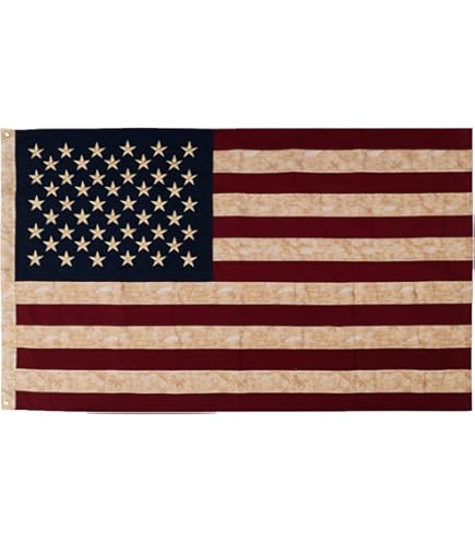 Amazon.com : ROTERDON Vintage American Flag 3x5 FT, Tea Stained