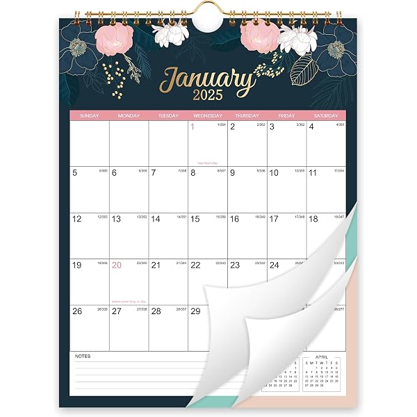 amazon-com-2025-calendar-2025-wall-calendar-jan-2025-dec-2025-12-x-17-twin-wire-binding-hanging-hook-holidays-julian-dates-office-products