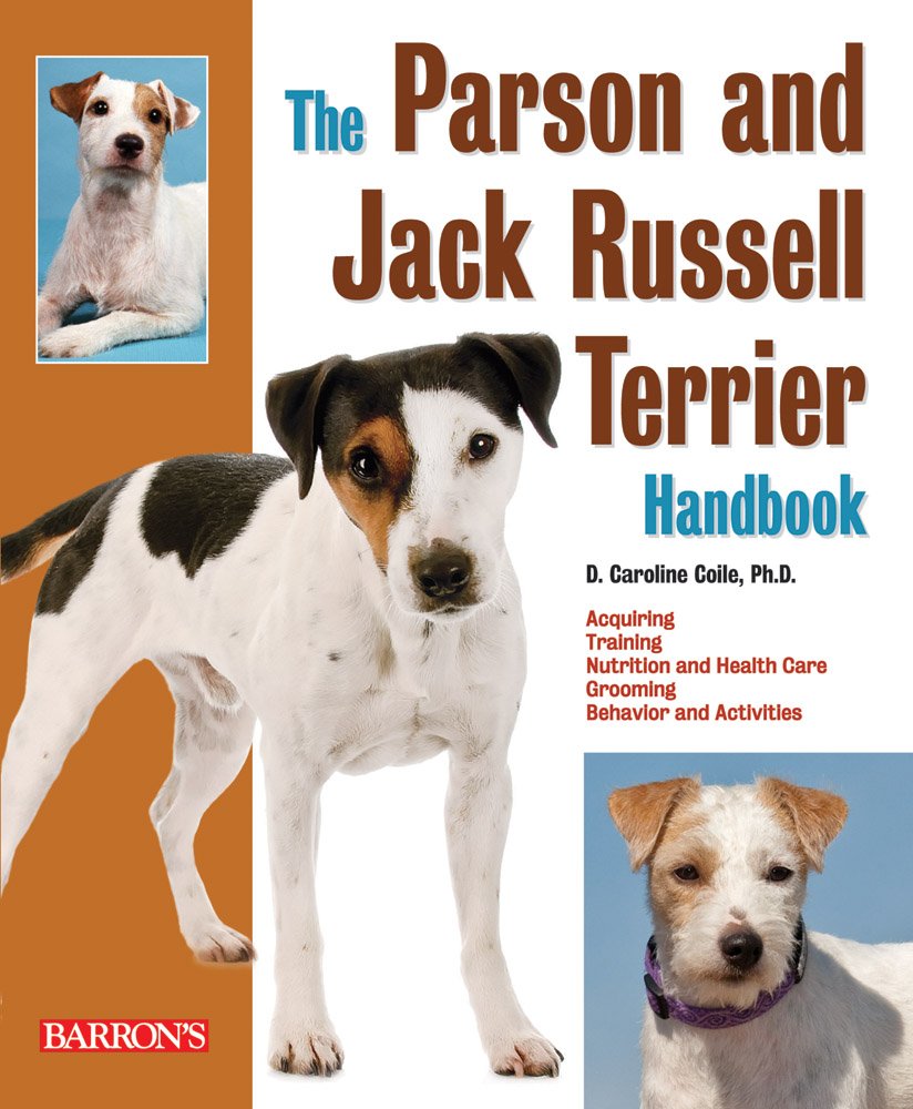 parson russell terrier training