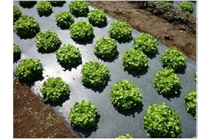 Grower's Solution Black Plastic Mulch 4ft. X 100ft. 1.0 Mil Embossed