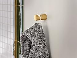 Moen Align Brushed Gold Modern Single Robe