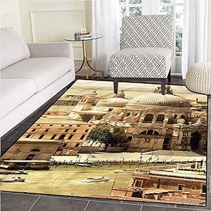 Amazon.com: Venice Stain Resistant Rug Great for Decorating Bedroom