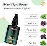 Ambrosial Tulsi Drops 30ml | Concentrated Holy Basil Extract | Immunity Boost view 4