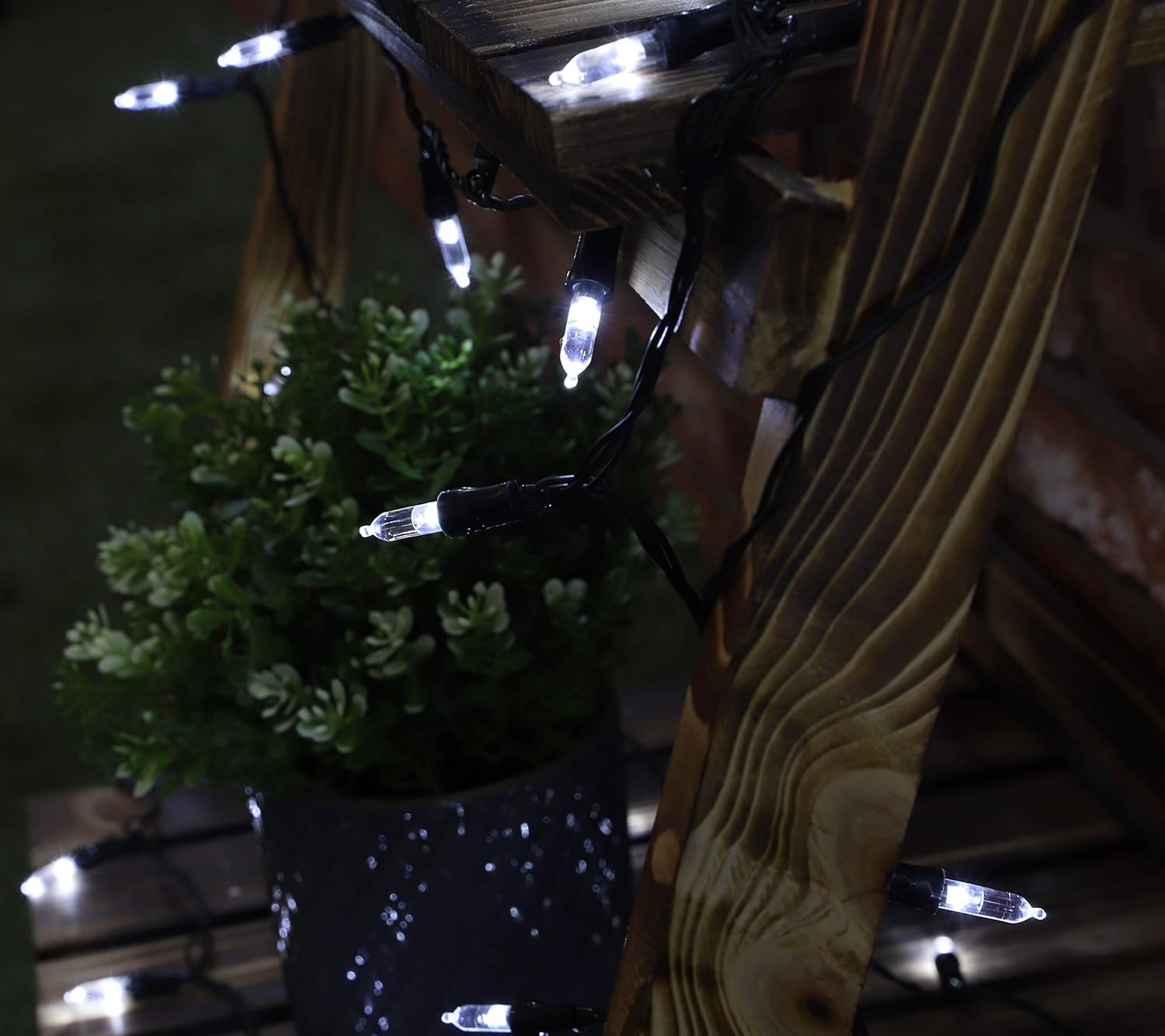 Christmas Concepts® 60 White LED Battery Operated Indoor Fairy Lights