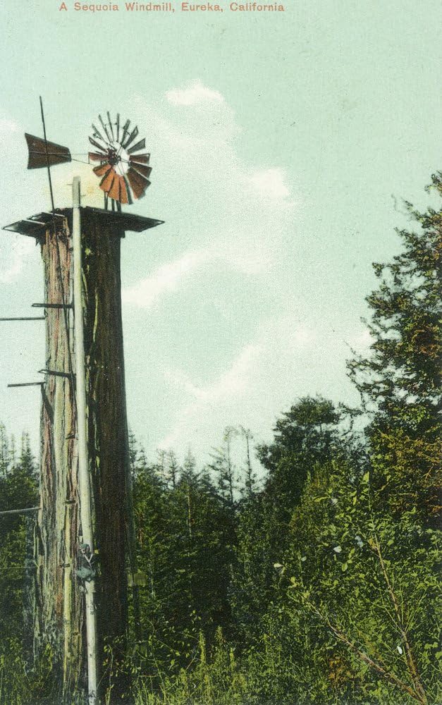 Eureka, California - View of a Sequoia Wind Mill (16x24 Fine Art Giclee Gallery Print, Home Wall Decor Artwork Poster)