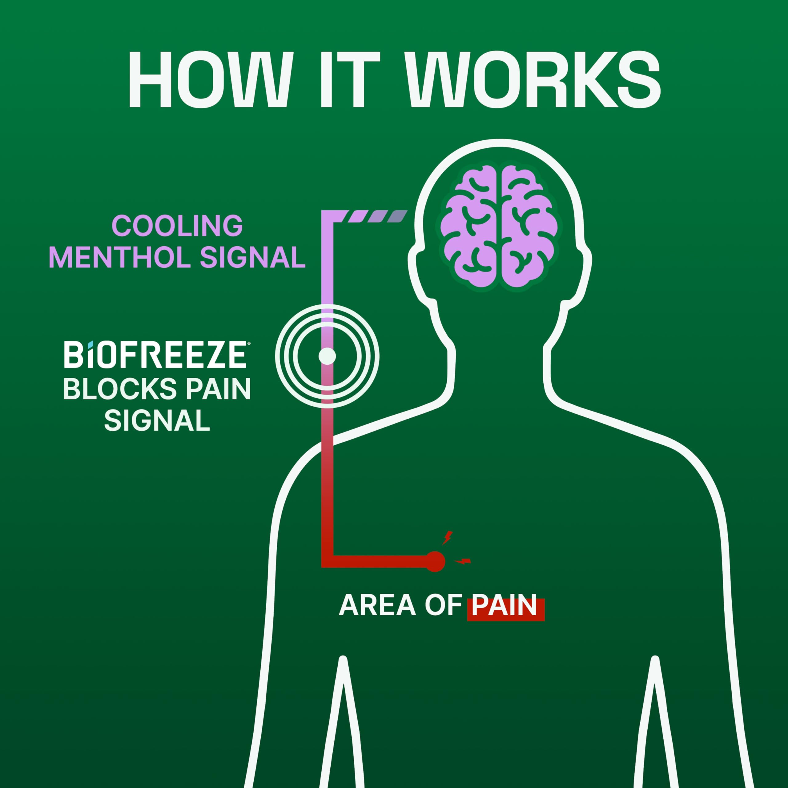 Biofreeze Overnight Gel Pain Relief, Knee & Lower Back Pain Relief, Arthritis Pain Reliever, Neck Pain Relief, Cooling Joint Pain Relief, FSA/HSA Eligible, Lavender Scented Menthol Gel 3 Fl Oz