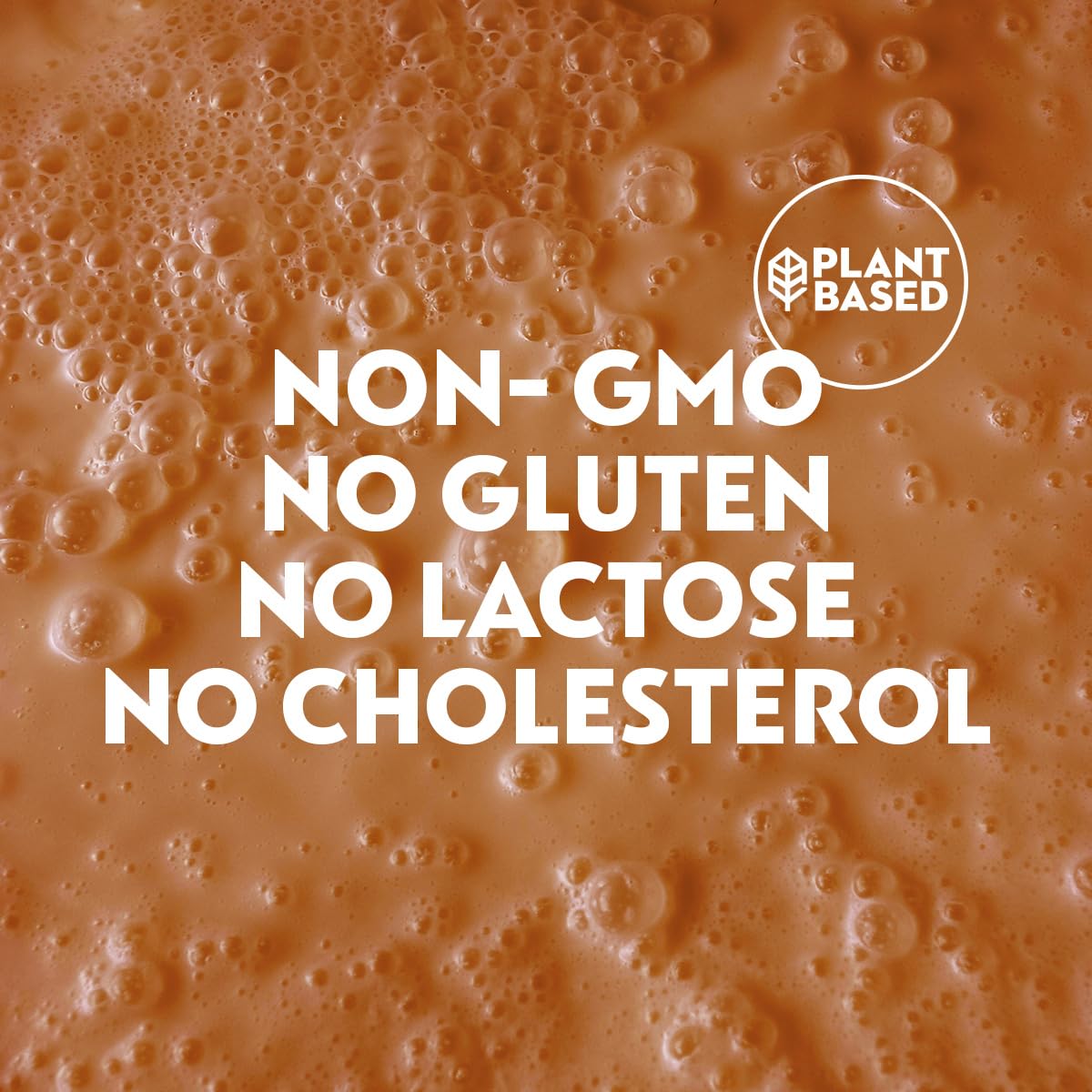 NotMilk Chocolate Plant-Based Milk Alternative, 6.76 Fl Oz (Pack of 12) - Shelf-Stable, Lactose-free, Vegan, Non-GMO