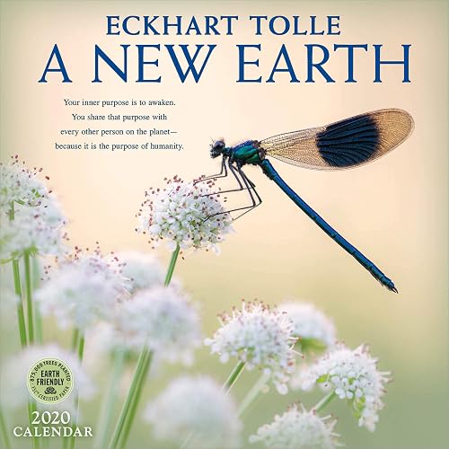 Download A New Earth 2020 Wall Calendar: A Year of Inspirational Quotes PDF