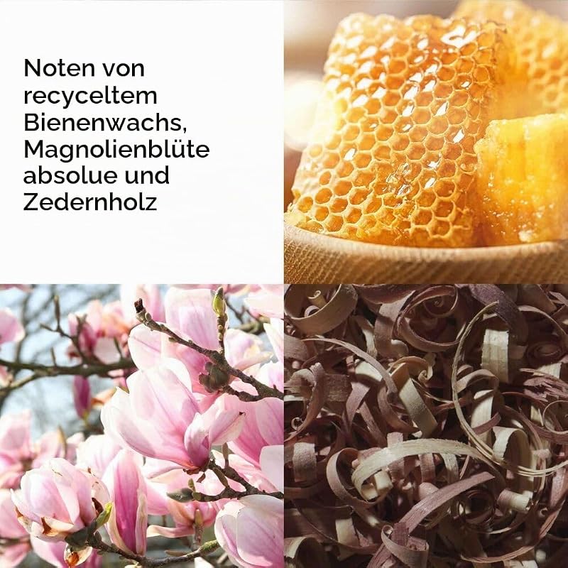 Sunflowers HoneyDaze Eau de Toilette, 100 ml,