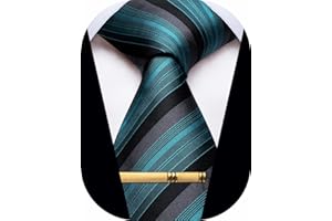 YourTies Men's Neckties Striped Tie and Plaid Neckties for Men Woven Silk Tie Gold Tie Clip Set