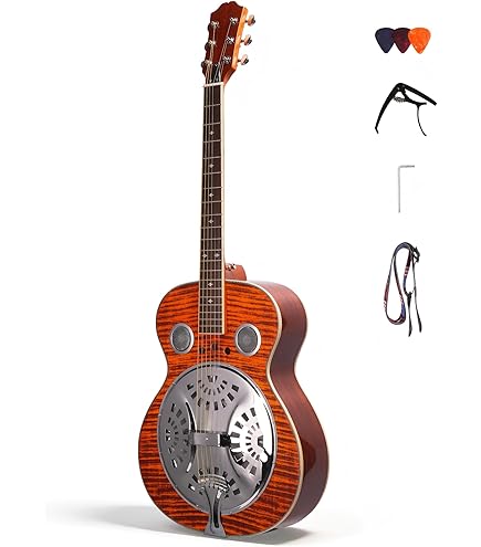 Amazon.com: Recording King RO-G6 Solid Top 000 Guitar : Musical