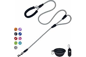 VOZRELS Dog Leash Heavy Duty 6ft, Double Handle Dog Leash with Padded Handle for Traffic Control, Reflective Rope Leashes for Large and Medium Dogs Control Safety Training at Night (Grey)
