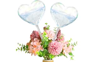 Osznmmg Glass Plant Watering Globes Plant Watering Globes Clear Blown Glass Automatic Watering Globes Large Self Watering Globes for Outdoor Indoor Garden Plant (Heart)