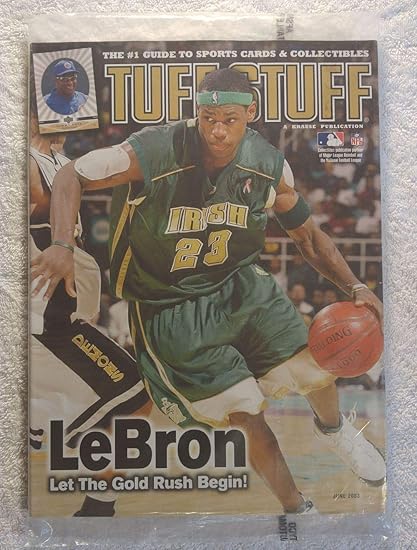 lebron james fighting irish