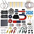 Delinx STEM Science Kit, Magnets Learning,Basic Circuit Learning,Fruit Battery Experiment,Green Alternative Energy Lab Kits, Physic Electricity Educational Project for Kids & Teens,Girls & Boys