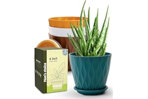 Goproauto 6 Inch Indoor Planter Pots with Drainage Hole and Tray Saucer,Flower Pots for Indoor Outdoor Garden Plants and Flow