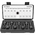 BILITOOLS 8-Piece Impact XZN Triple Square Spline Bit Socket Set 1/2 inch Drive, M5-M18, Cr-Mo Steel
