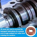 PATIKIL 12mm x 24mm x 7mm Fluoro Rubber TG4 Oil Seal for Bearings Pumps Engines view 5