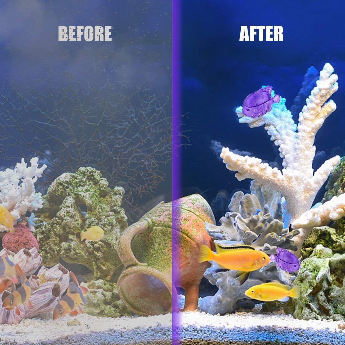 Overlord Humidifier Cleaner, 12 Pack Universal Humidifiers Cleaner Fish, Keep Humidifier's Water Clean, Compatible with Protec Kaz PC1F, Drop Droplet Adorable Warm and Cool Mist Humidifiers Fish Tank: Home & Kitchen