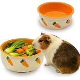 kathson 2 Pcs Hamtser Food Bowl,Ceramic Anti-Turning Guinea Pig Food Bowls | Guinea Pig Food Dish Hamster Water Bowls Small Animals Ceramic Feeding Bowl Pet Feeder for Bunny Chinchilla Rat Hedgehog