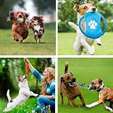 Wefine Puppy Chew Toys 100% Natural Cotton Rope for Small Medium Dogs 10 PCS view 4