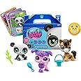 Littlest Pet Shop, Pet Surprise Three Pack - Gen 7, Pets #1 - #18, Authentic LPS Bobble Head Figure, Collectible Imagination 