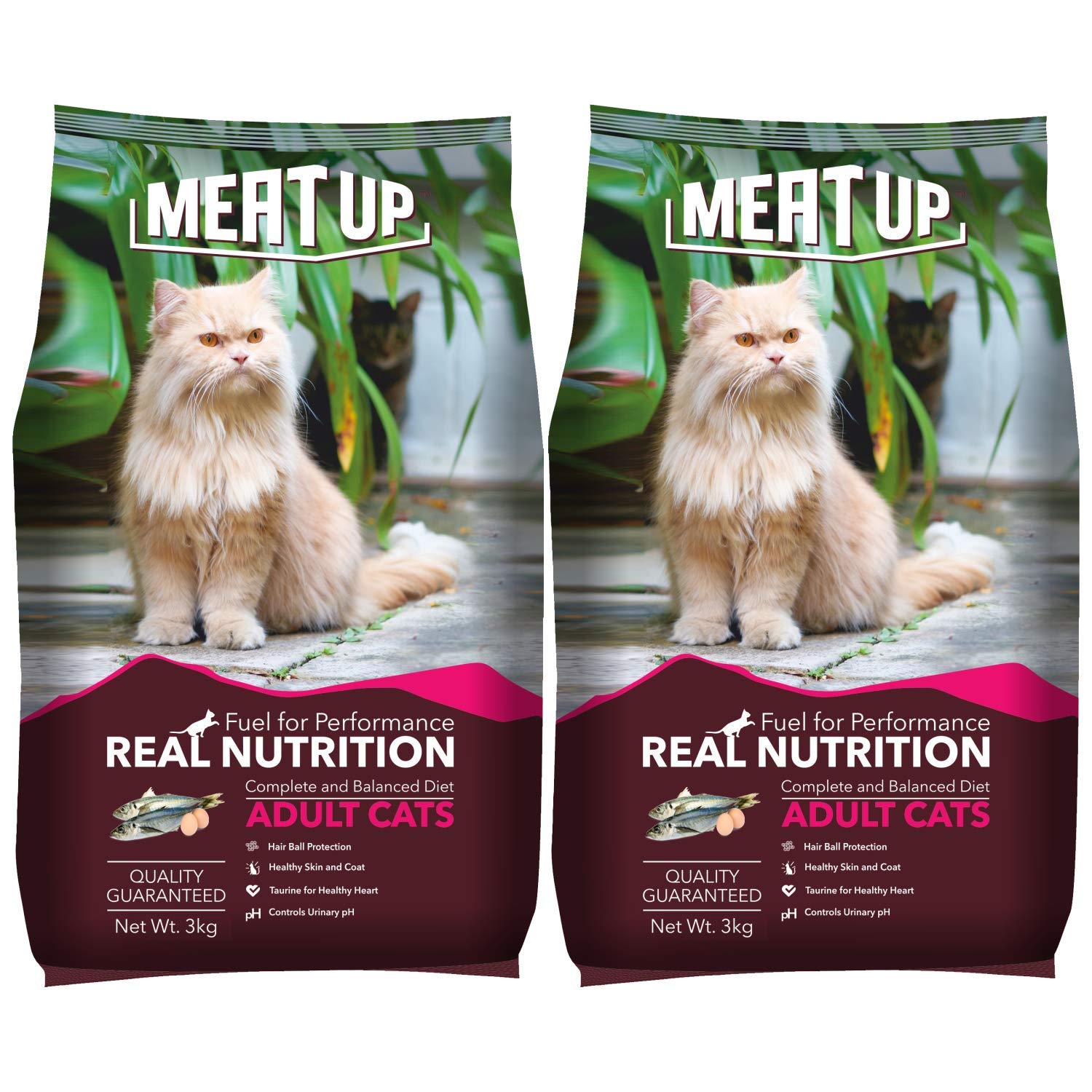 Meat Up Adult 1 Year Dry Cat Food Ocean Fish 3kg Buy 1 Get 1 Free Amazon In Pet Supplies