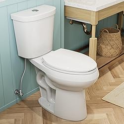 HOROW 19 Inch Tall Toilets, Extra High Toilets with
