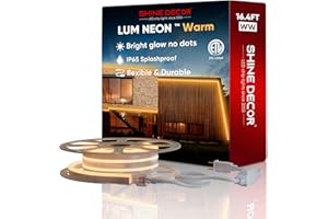Shine Decor LED Neon Rope Lights AC 120V, Expandable & Cuttable 120LEDs/M Bright Strip Lighting, ETL Cold-Resistant & IP65 Waterproof for Indoor Outdoor, 8x16mm, 2500K Warm White, 16.4ft