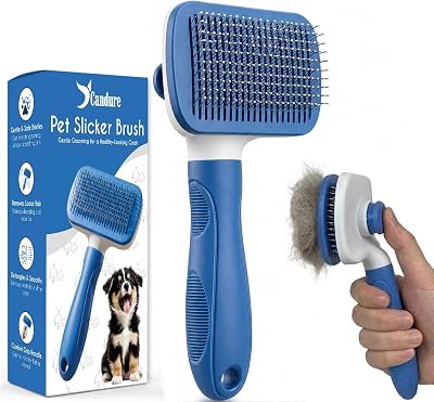 Spazzola Autopulente per Cani e Gatti, Spazzola Professionale per Pelo Lungo e Corto, Setole in Acciaio Inox, Rimuove Nodi, Sottopelo e Pelo Morto, Accessori Toelettatura (Azzurro Cielo)