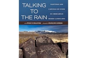 Talking to the Rain: Paintings and Carvings on Stone in Chihuahuan Desert Landscapes