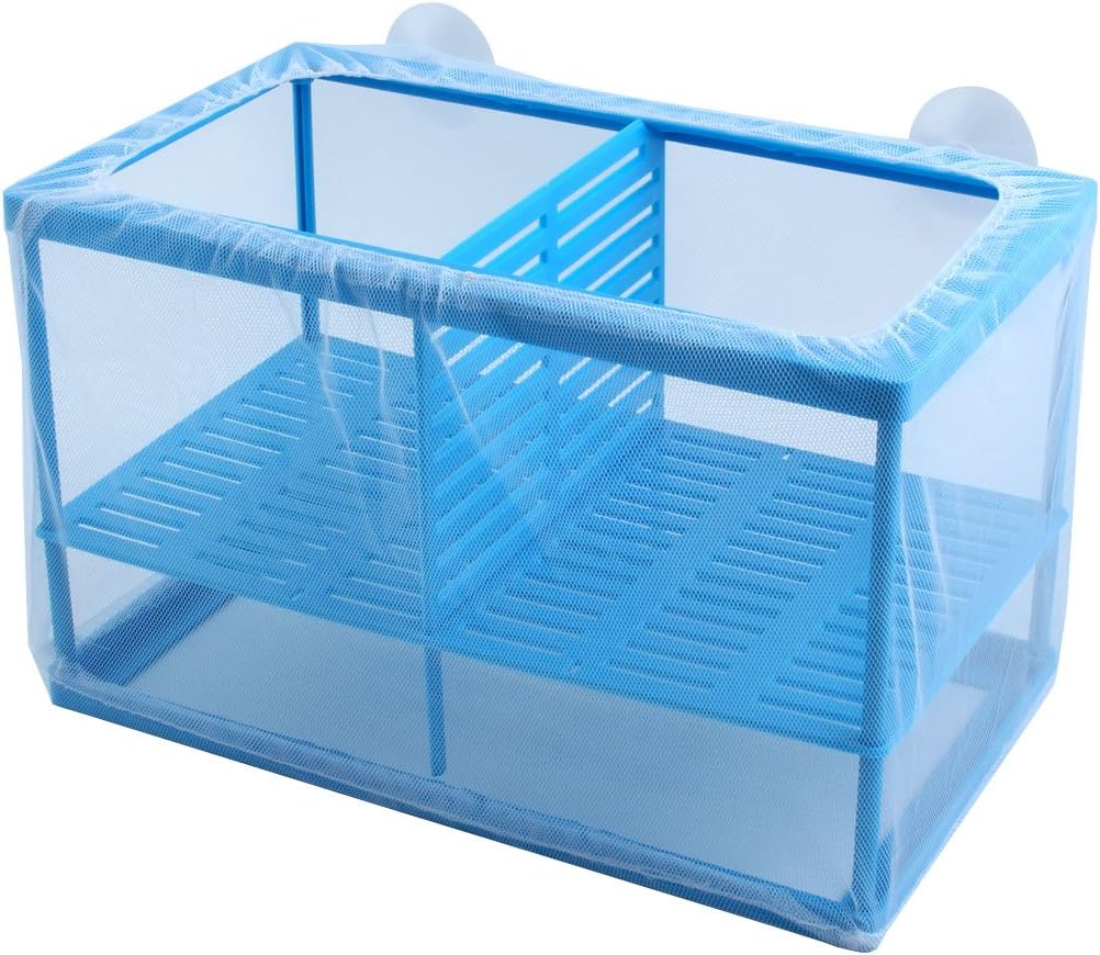 plastic tanks for fish