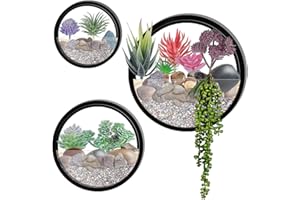 ZEETOON Modern Black Metal Wall Planters with 10PCS Artificial Succulent Plant Wall Vase Succulent Planter Circle Round Flower Pot Metal Iron Indoor Vertical Container Wall Hanging Home Decoration