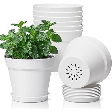 Amazon Best Sellers: Best Garden Pots
