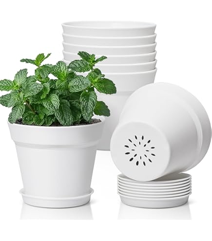 Amazon.com : W&P Hydroponic Gardening Pod Planter | White, 5 Piece