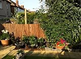 Papillon Bark Natural Garden Fence Screening Roll 4m x 2m Privacy view 9