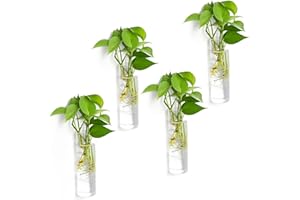 Vumdua 4 Pack Glass Planters, Clear, 5.9 in H x 1.85 in D, Suitable for Most Water Plants, Perfect for DIY Propagation Station, Easy to Install, Elegant and Functional