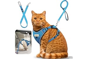 MingXpets Cat Harness and Leash for Walking, Retractable Cat Harnesses and Leash Set Escape Proof, Breathable Soft Kitten Small Large Harness for Travel Training and Walking, Blue, M